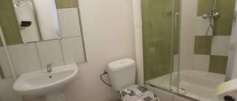 A bathroom with a sink, toilet, and glass-enclosed shower.
