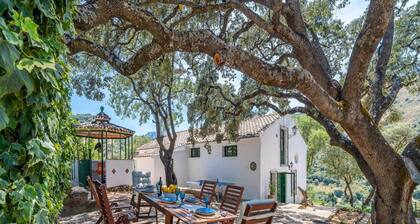 Charming Farmhouse With Private Pool