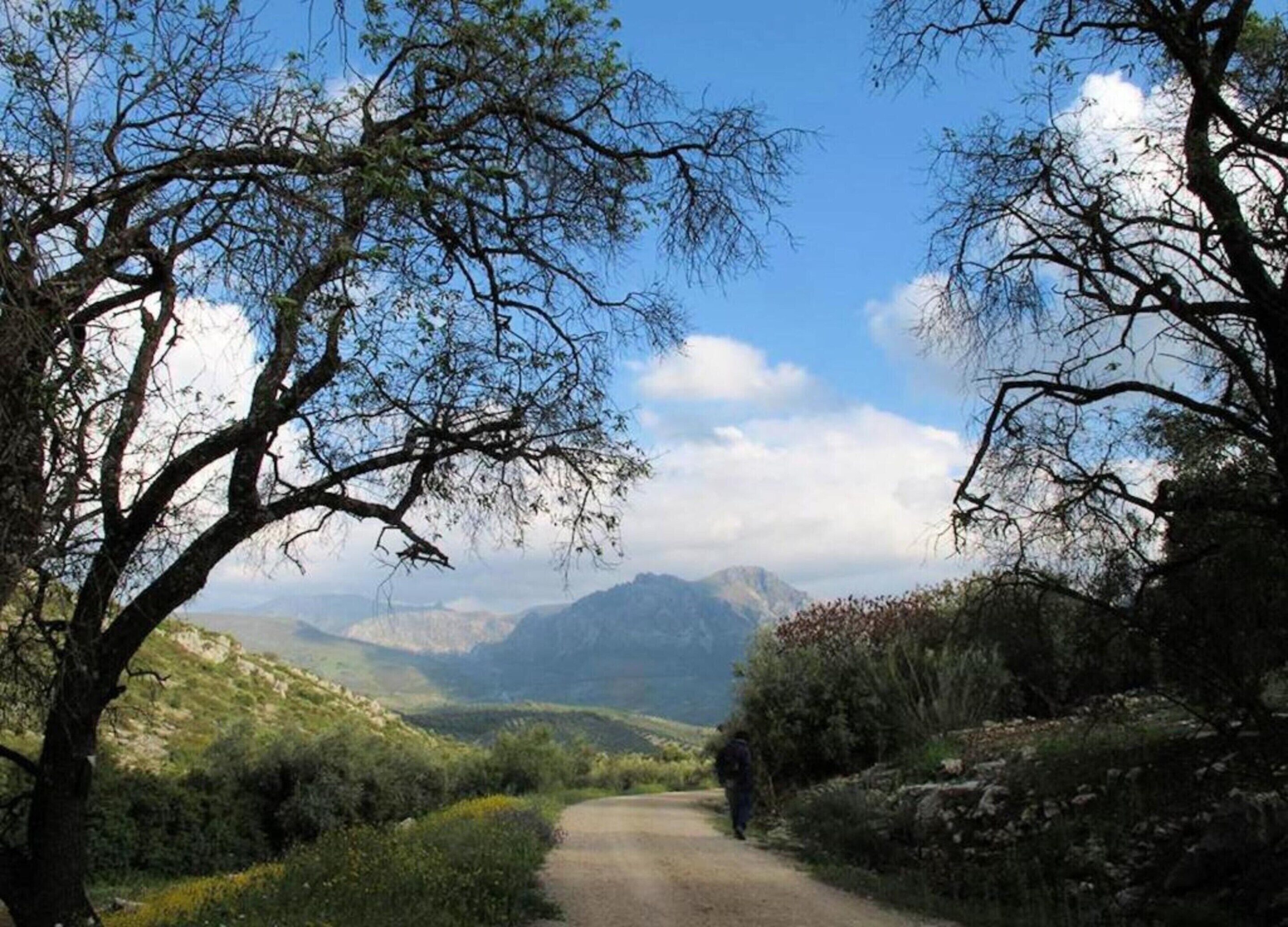 Casa | Vista des de l'allotjament