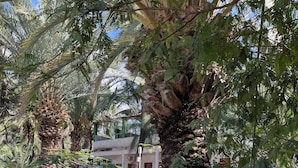 Exterior - Baia Verde Resort Tarrafal (Tarrafal)