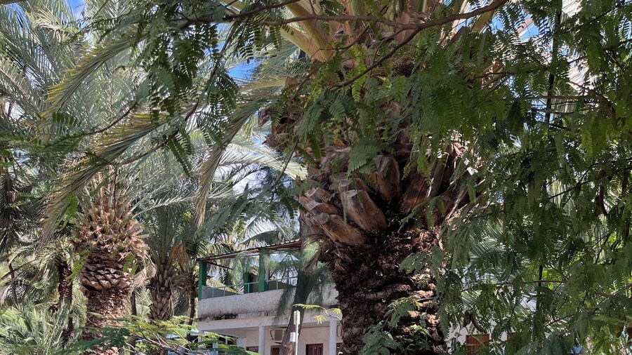 Baia Verde Resort Tarrafal