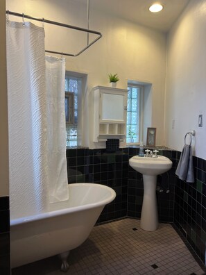 Eco-friendly toiletries, hair dryer, bidet, towels - Chic 2-bedroom with AC, WiFi, in terrific Chicago neighborhood of Wicker Park.  (Chicago)