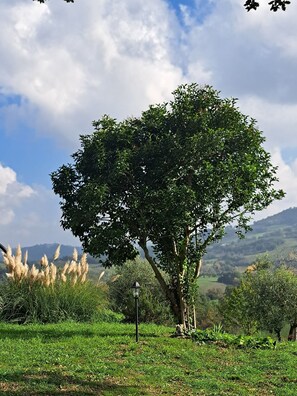Le Scintille B&B - Sirio | Garden view