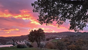 A rural landscape with rolling hills, a tree in the foreground, and a sunset in the background.