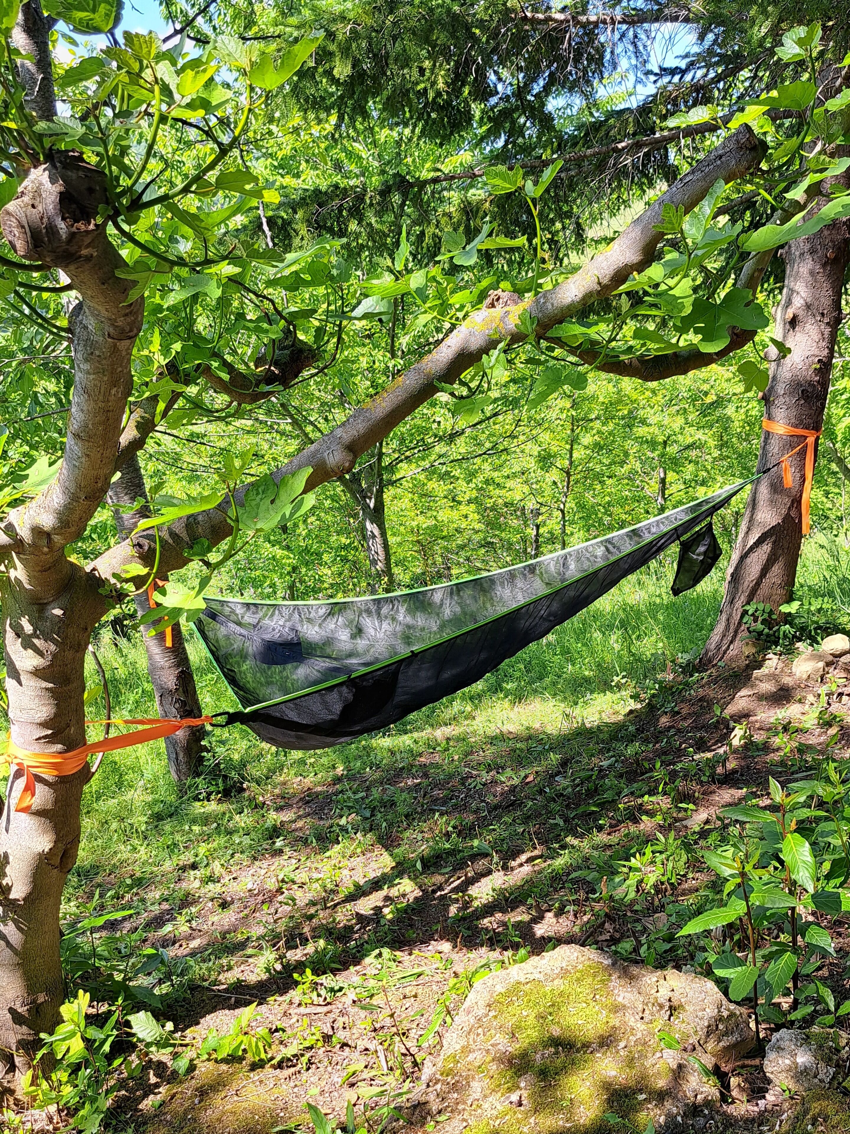 A hammock tied between trees in a forested area.
