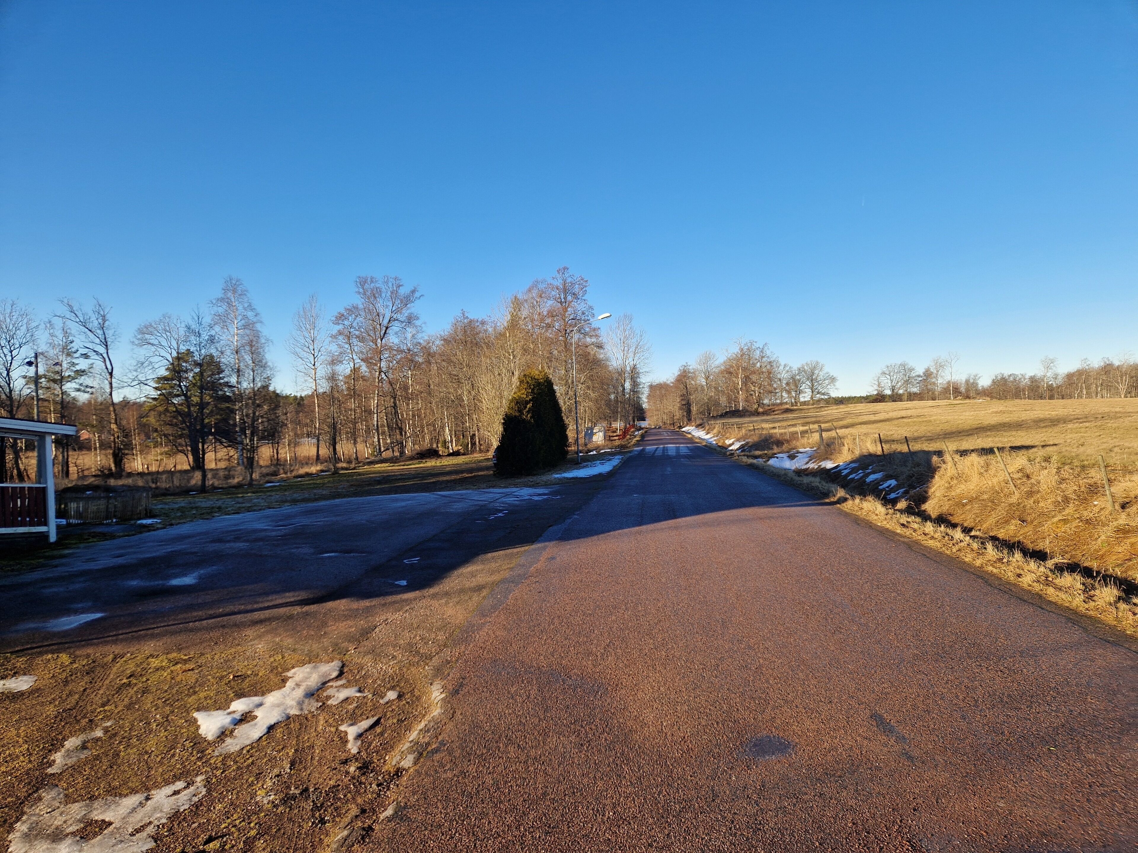 A rural road with a wooden structure on the left and a large tree in the center.