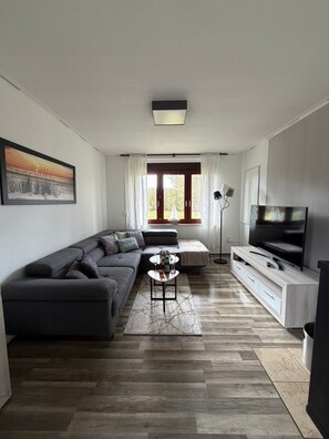 Smart TV, fireplace, video games, DVD player