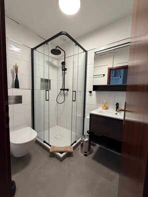 Shower, hair dryer, toilet paper