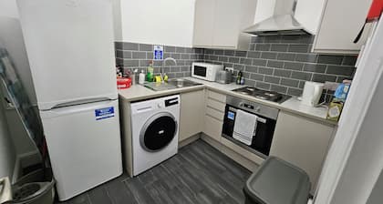 Modern Spacious Flat 10 Minutes from Big Ben