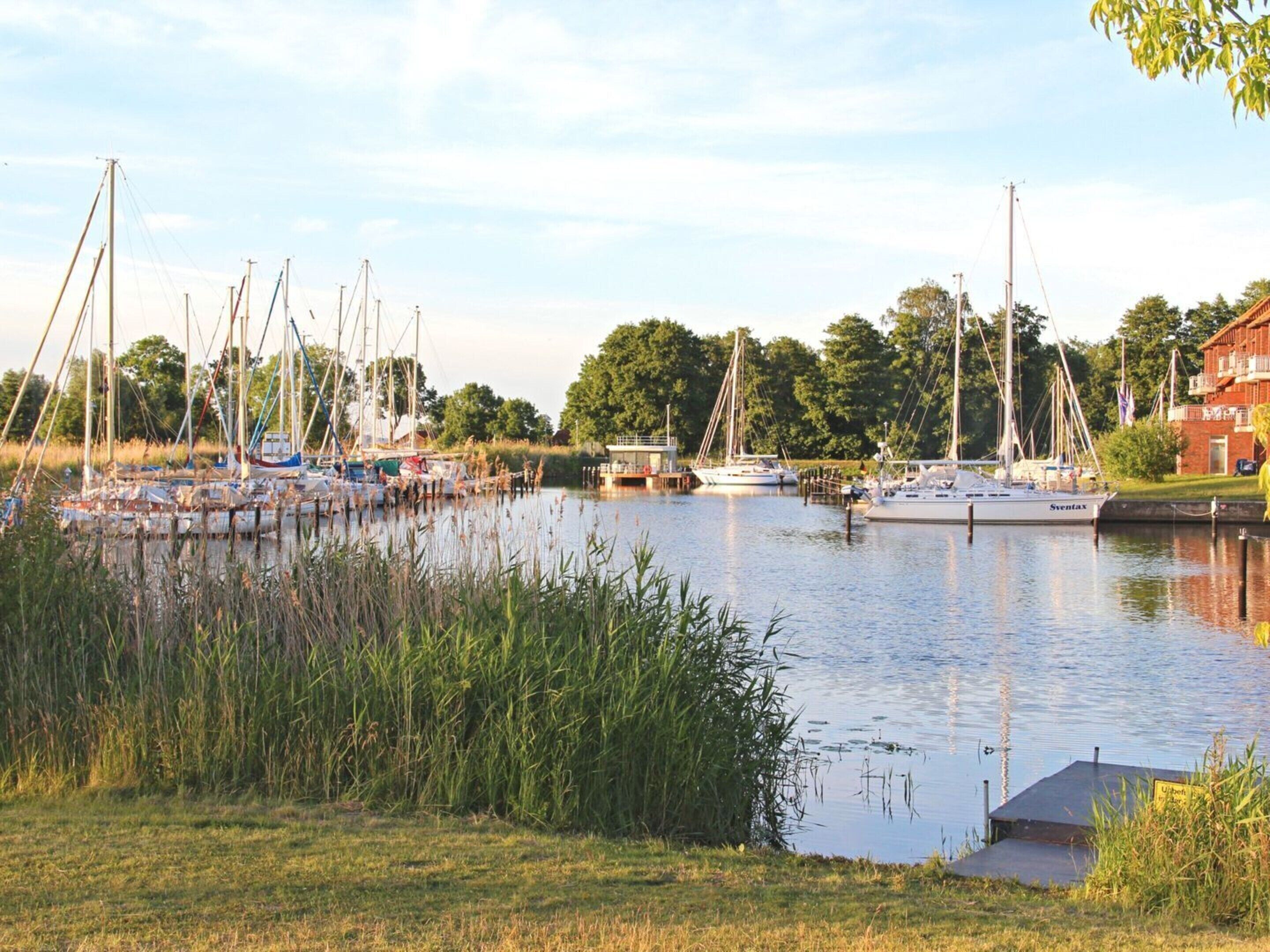 Een jachthaven met meerdere zeilboten afgemeerd, omringd door grasvelden en bomen.