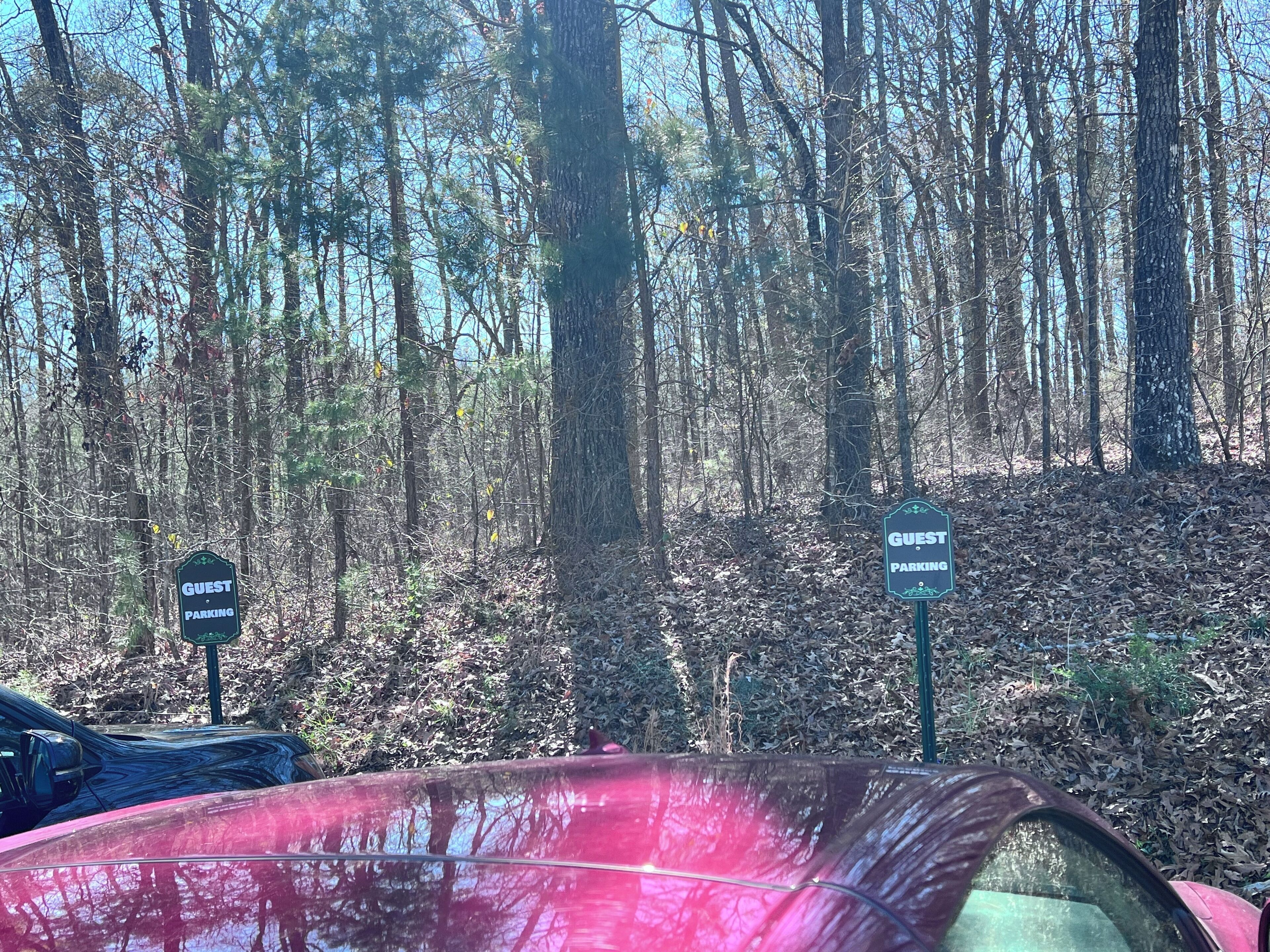 A forested area with two 'GUEST PARKING' signs and a red car parked nearby.