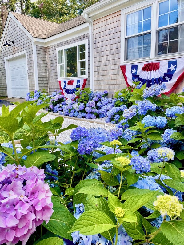 A house with a garage, a front porch, and a garden with hydrangeas. - Renovated 3-Bedroom Cape with Private Backyard in Ideal Orleans Location (Orleans)