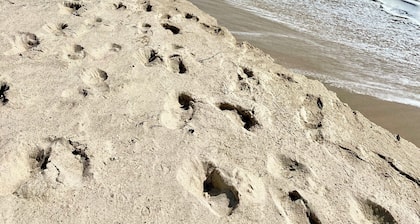 Child Friendly, Charming 3-Bedroom Cape in Unbeatable Location