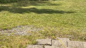 Un espace extérieur verdoyant, avec une pile de bois de chauffage, une structure en bois et un lac en arrière-plan.