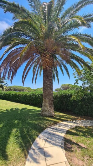 Property grounds - Facing the sea! Top apartment, beautiful sea view and large swimming pool. We love it! (Roquebrune-sur-Argens)