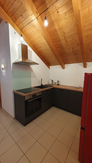 Oven, stovetop, dishwasher