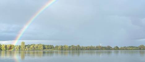 Un lac paisible, surmonté d’un arc-en-ciel, entouré d’arbres et avec une éolienne visible au loin.