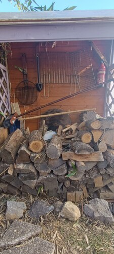 The hut at the bottom of the garden 