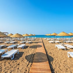 Playa privada en los alrededores, traslado desde/hacia la playa gratis
