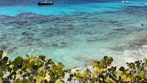 A coastal scene with clear turquoise waters, a boat named "Blue Bay," and lush greenery in the foreground. - Beautiful oceanfront villa with beach and great house reef (Hato)