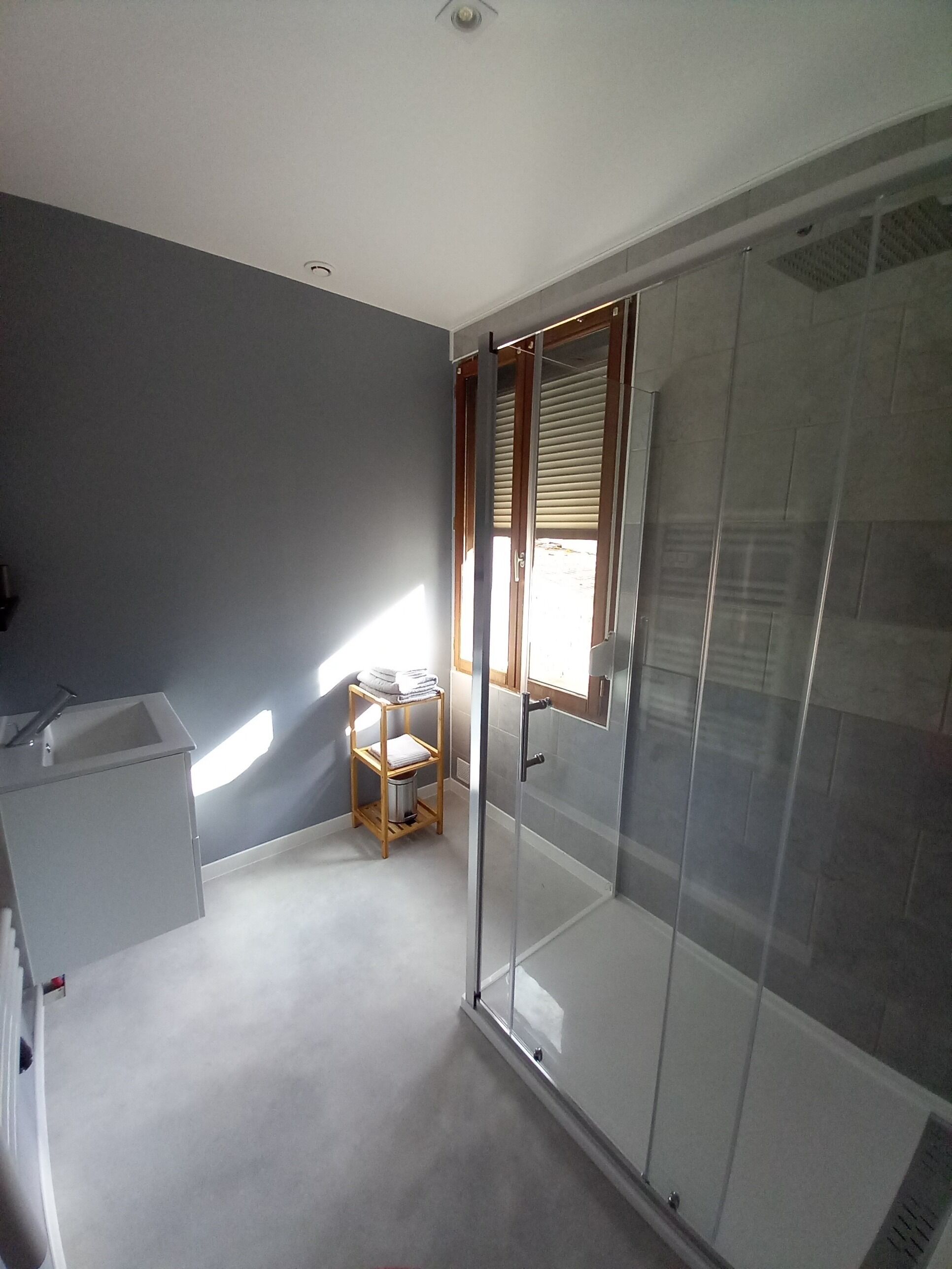 Shower, towels, toilet paper