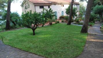 Parco della struttura