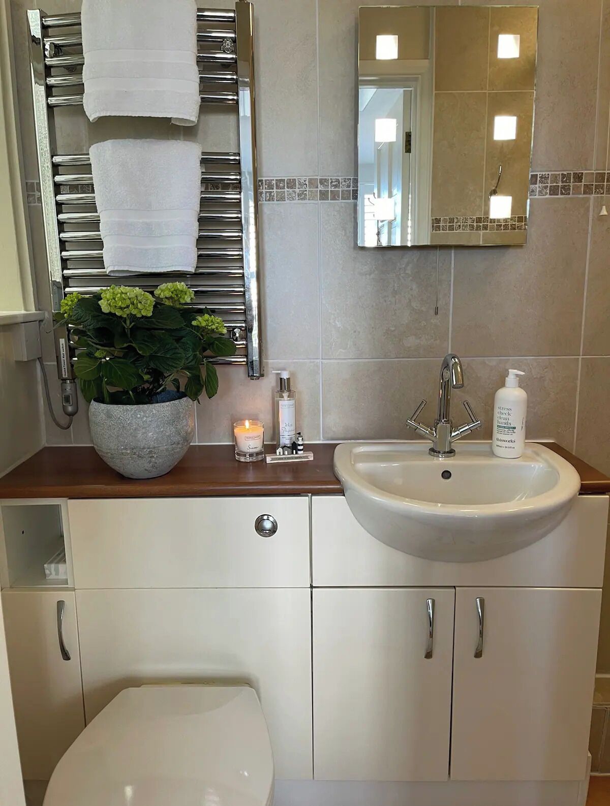 A bathroom with a sink, mirror, towel rack, and a potted plant.