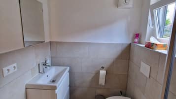 Shower, towels, toilet paper