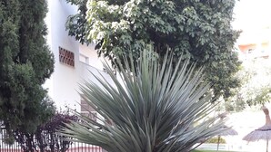 A landscaped garden with a prominent agave plant, a white building with a balcony, and a fence. - Stunning Central Penthouse with Breathtaking Sea and Mountain Views (Benalmádena)