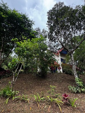 Property grounds - Cozy plantation estate cottage/bunglaow (Kuttikkanam)