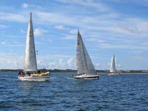 Three sailboats on a calm body of water with a clear sky.