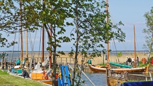A marina with several boats docked, a grassy area, and a clear sky. - Hausboot in Barth am Barther Bodden (Barth)