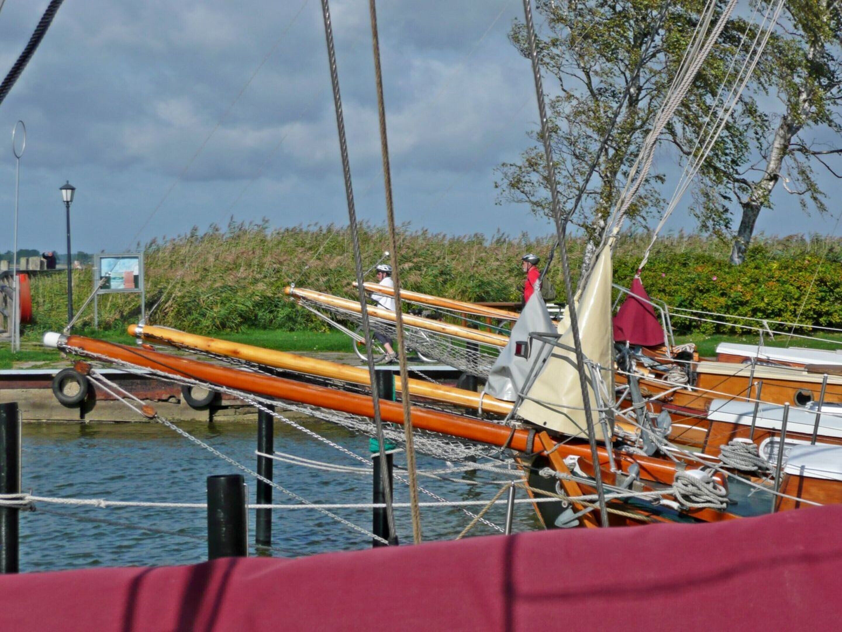 A row of boats docked at a marina with a grassy area and a lamppost in the background.