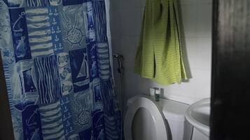 Shower, hair dryer, bidet, toilet paper