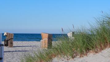 Mobil Karavan | Pemandangan dari properti