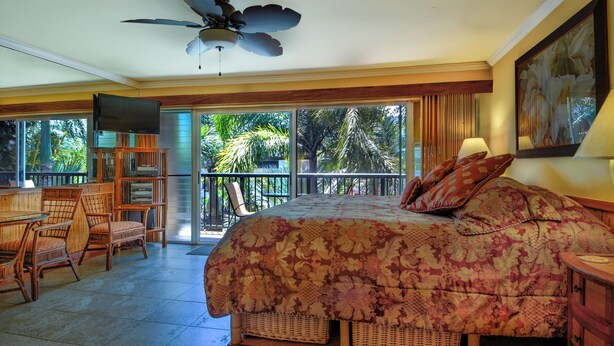A spacious room with a large bed, a ceiling fan, a TV, a balcony with a view of palm trees, and a bookshelf. - Cozy  studio condo with AC and WiFi in charming Koloa/ Poipu (Koloa)