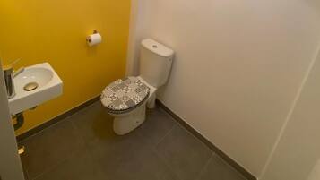 Shower, hair dryer, soap, toilet paper
