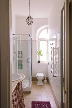 Hair dryer, towels, soap, toilet paper