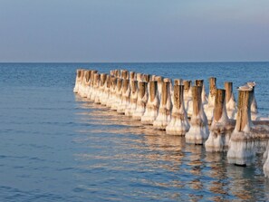 A series of wooden posts extending into the water.