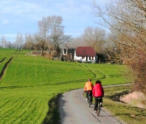 A rural pathway with cyclists, surrounded by green fields and a white building with a red roof.