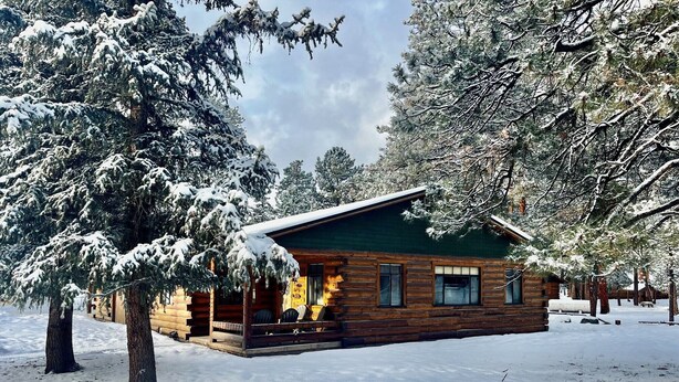 A log cabin with a green roof surrounded by snow-covered trees.