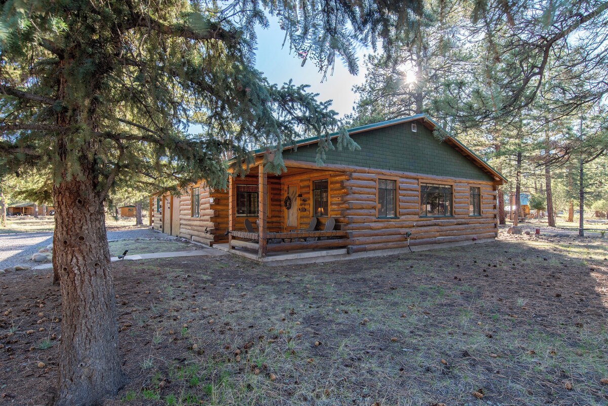 Imagen de perfil del propietario o de la propietaria