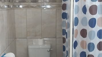 Shower, towels, soap, toilet paper