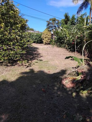 Property grounds - Green house (Capesterre-Belle-Eau)