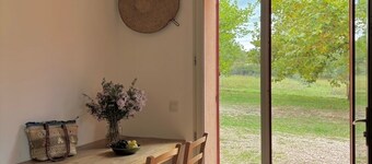 Provençal farm among olive trees; view of the hill from a large shaded terrace