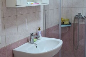 Shower, hair dryer, bidet, towels