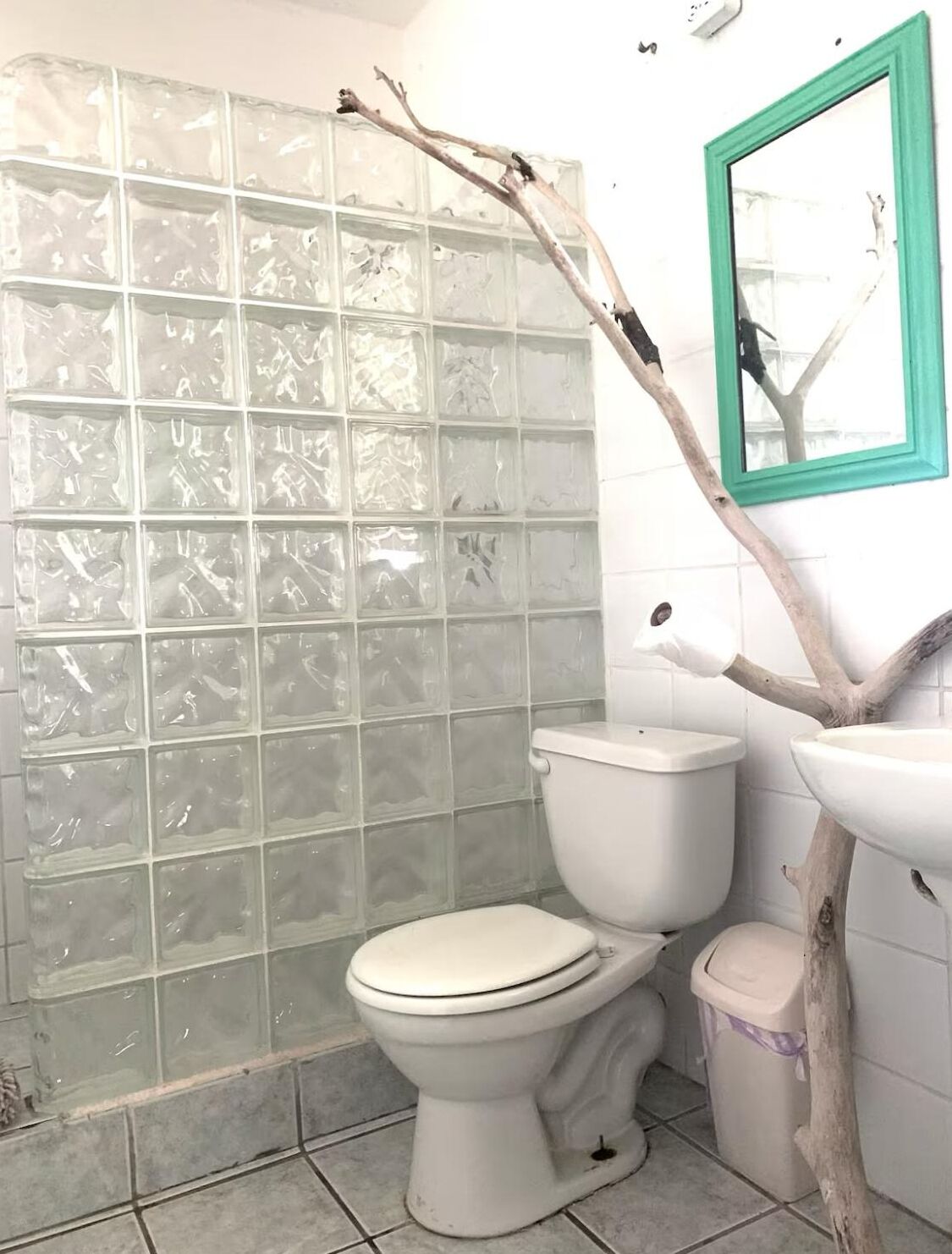 A bathroom with a glass shower enclosure, a toilet, and a sink with a wooden branch decoration.