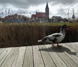 Mobile Home | Extérieur