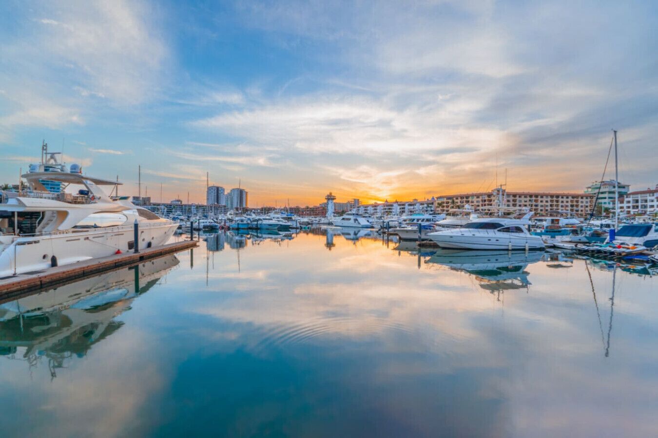 A marina with various yachts docked, a clear sky, and buildings in the background.