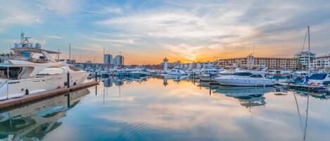 A marina with various yachts docked, a clear sky, and buildings in the background.